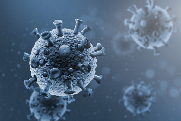 Immunology