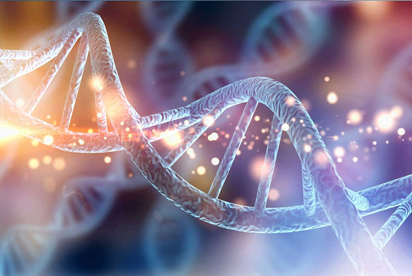 Molecular Biology